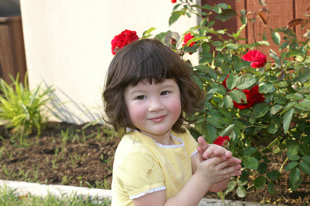 I moved into a new house this year