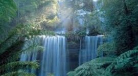 Timeline: Environmental Law Timeline Melissa Wu and Isabel DuBois