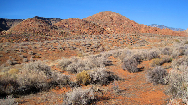Maughn Hikes Mill Creek