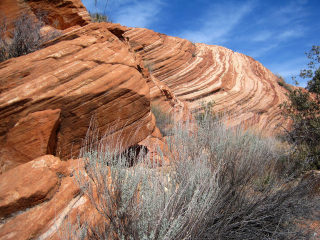 Maughn Hikes Washington Hollow