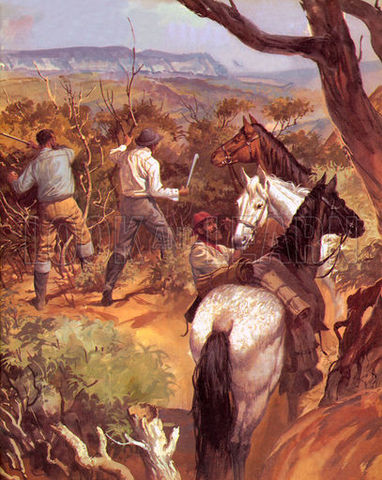 79000 free settlers are in Australia