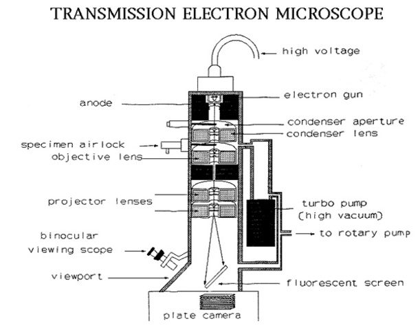 Transmission Electron Microscope