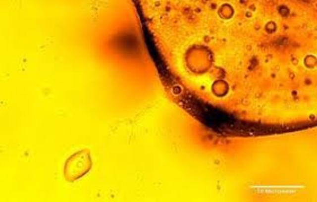 General Electric applies for a patent of a bacterium