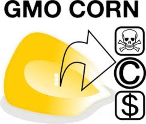 Copyright Infringement lawsuit filed