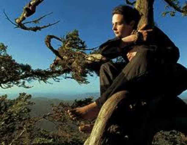Julia Butterfly Hill lived for 735 days in the top of a 180-feet tall California Coast Redwood tree and successfully blocked its destruction (Age 23).