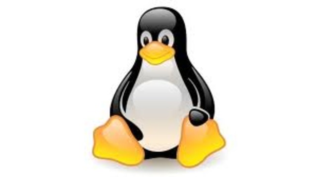 Linus adopta al pinguino Tux