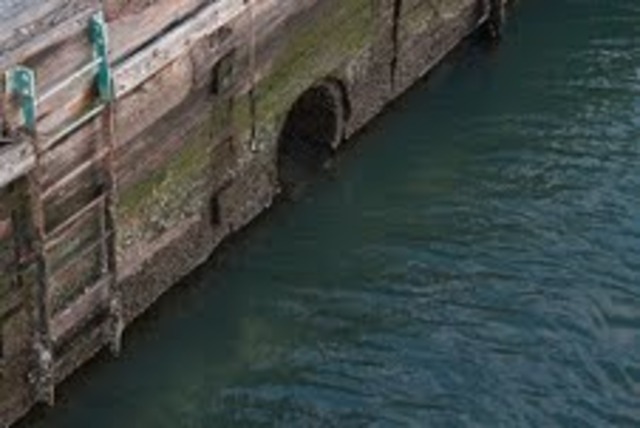 Sewage in the New York Harbor