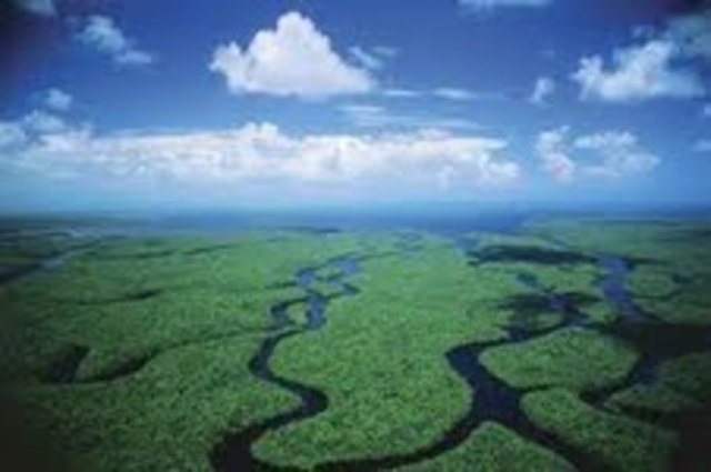 The Everglades