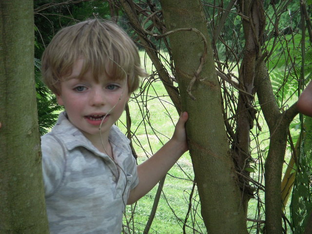 Kyle climbing trees at the farm