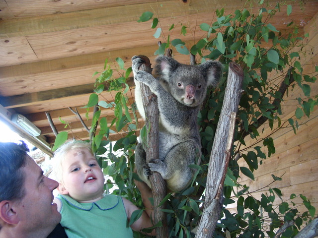 I am in the gold coast