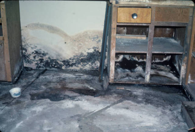 DEC asks for air sampling in homes