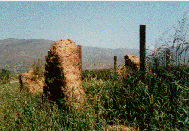 MISION DE SANTO TOMAS DE AQUINO