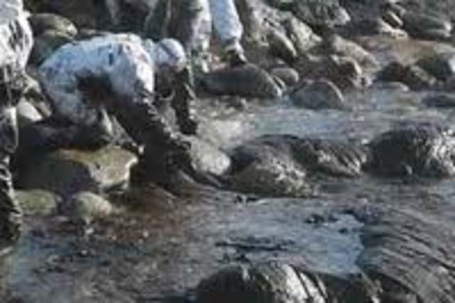 Oil Pollution