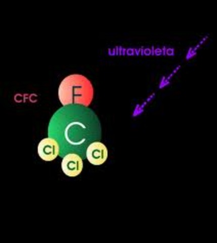 Se comienza a investigar los CFC