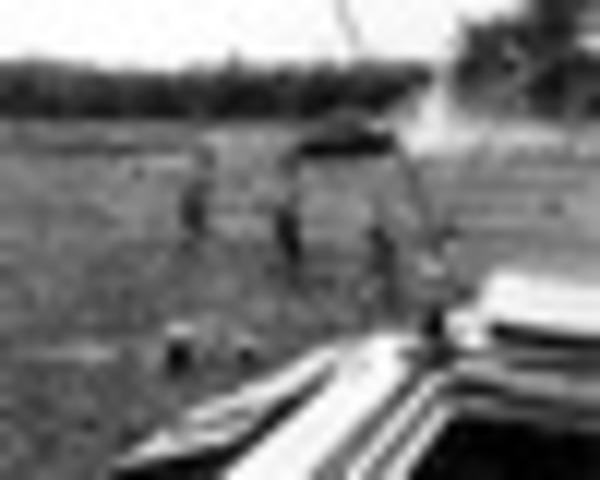 The Battle of Binh Bah