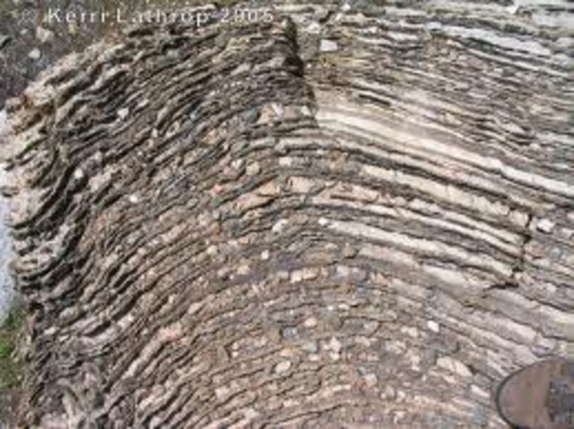 (3.5 BYA) Stromatolites