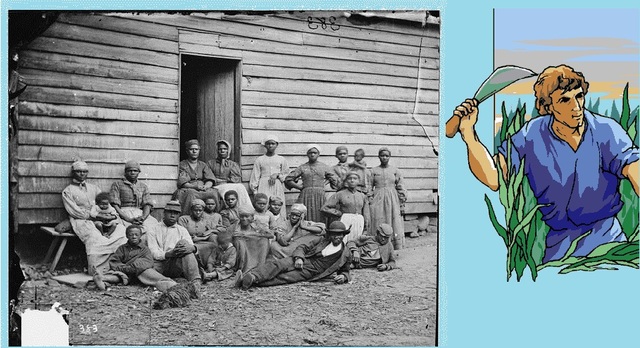 Indentured Servants vs. Slaves