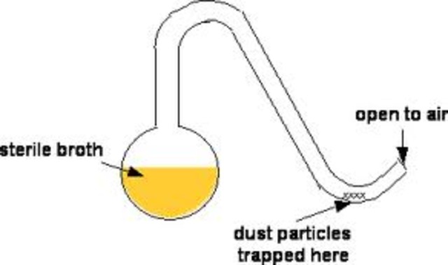 (1800-1900) Oparin+Pasteur