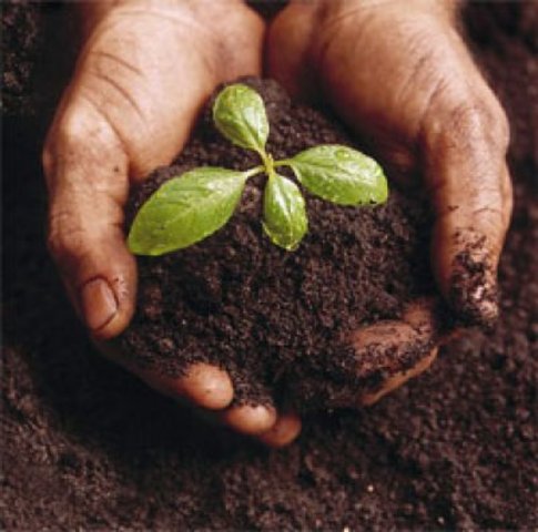 Áreas Protegidas de Portugal