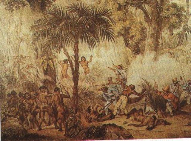 Franceses realizam contrabando de pau-brasil