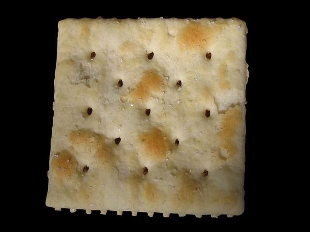 INVENTION OF THE CRACKER