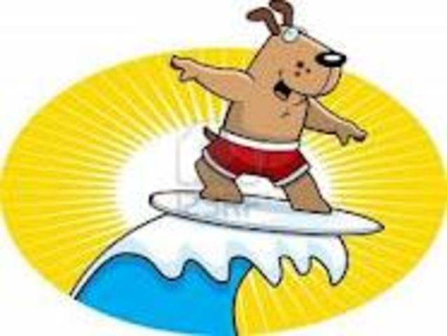 I went to cocoa beach an learned how to surf