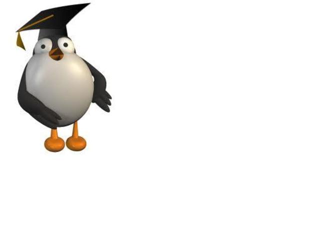 GRADO ANGEL MIGUEL PRIMARIA