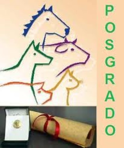 prosgrado
