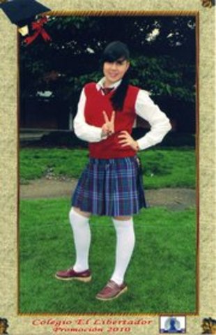 ingreso al libertador