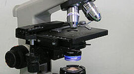Timeline: The inventions of microscopes