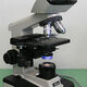 220px optical microscope nikon alphaphot
