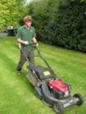 Cuando yo tenía once años, yo navegaba en la red casi todos los días, yo cortaba el pasto, y yo arreglaba el jardin.