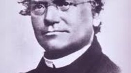 Timeline: Gregor Mendel