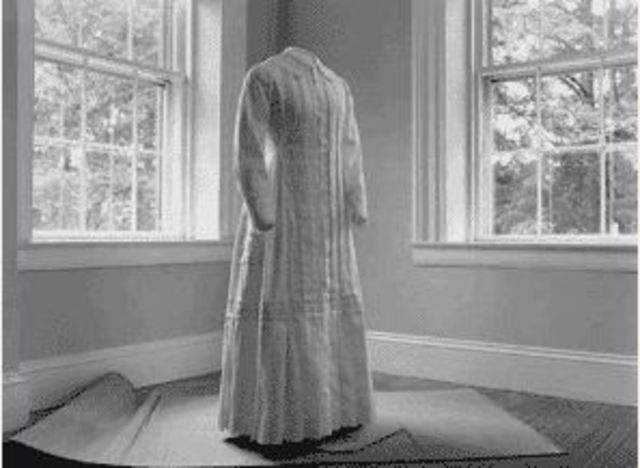 Emily meets Thomas Higginson