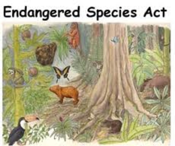 congress passed endangered species act