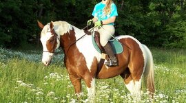 Timeline: La Vida de Georgia