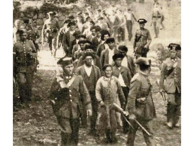 BIENI RADICALCEDISTA