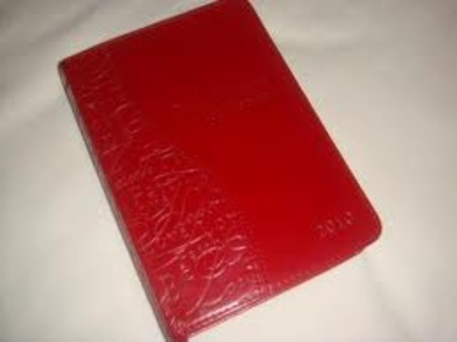 Julie's Birthday/New Year's Day