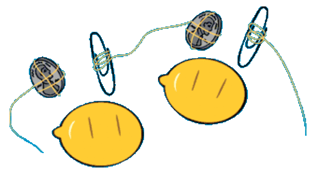 Took First Place in My 4th Grade Science Fair (Cognitive)