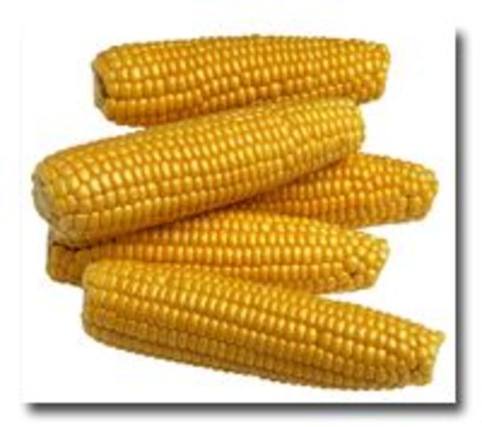 I moved to corn country...i mean Iowa.