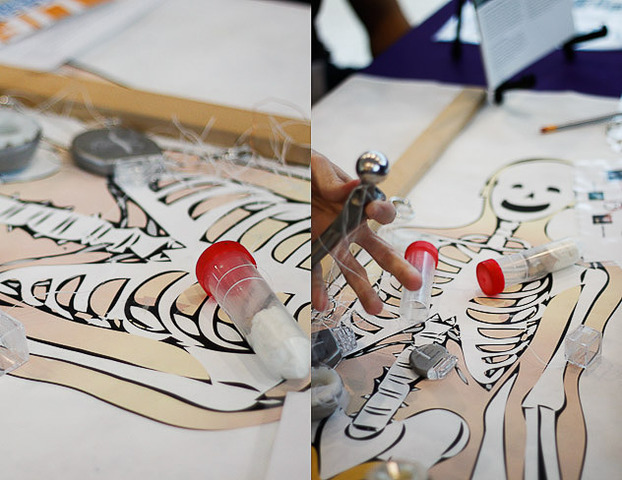 I will work as an bioengineer