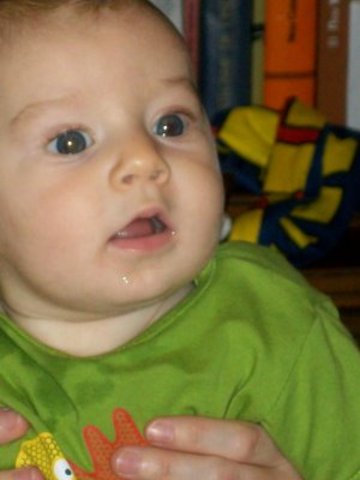 La meva primera dent