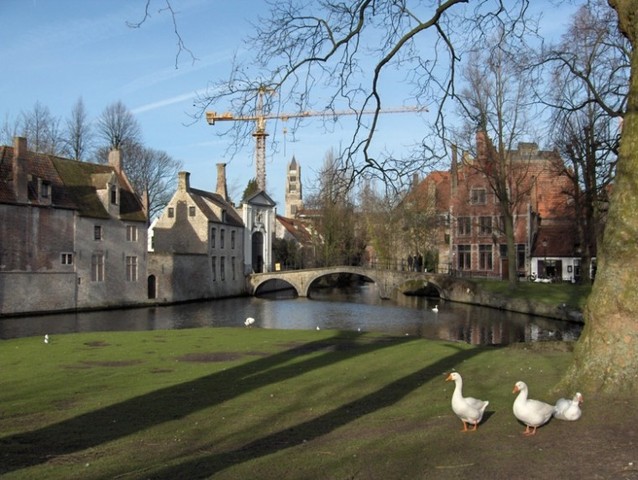 El meu aniversari a Belgica