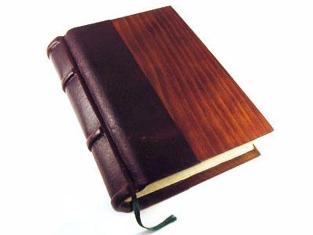 Julie started her diary that her mom got her.