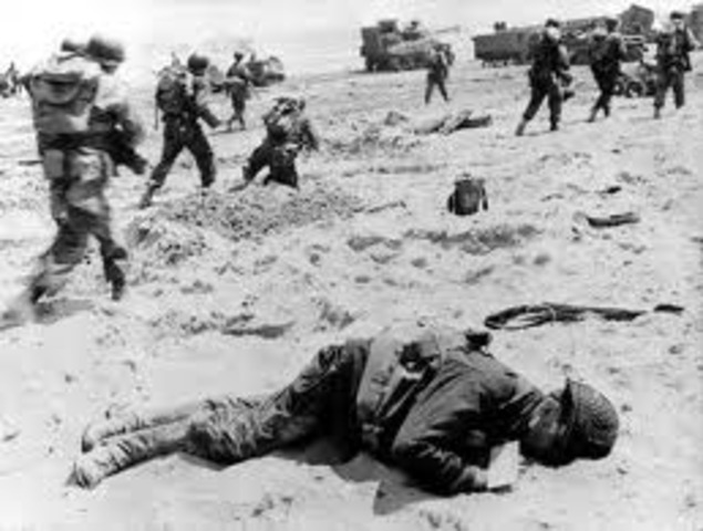 sick of seeing the dead bodies on the beaches