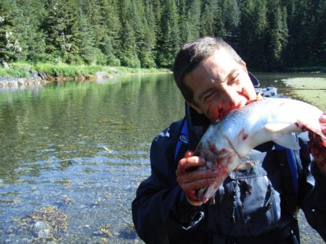 When Phillip was eating the fish he looked into the sun and has now gone blind