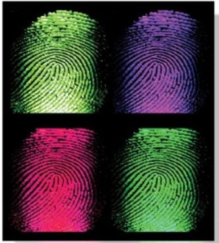 Collage Gradualtion!