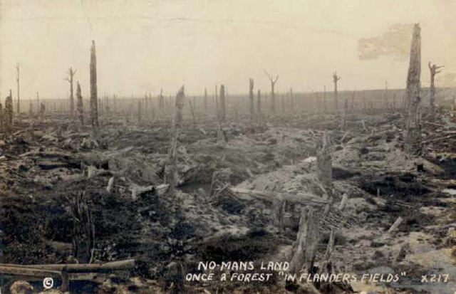Military Surgeon, John McCrae writes poem: 'In Flanders Field'