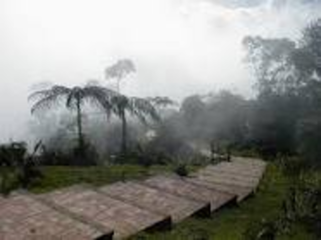 Went to a cloud forest.