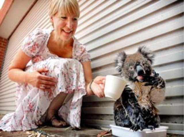 Australian Animal Welfare Strategy